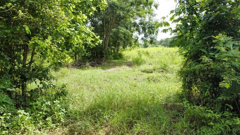 ที่ดินเกษตรกรรม อ.เพ็ญ อุดรธานี : Agricultural Land, Ban That, Phen, Udon Thani, Ideal for Farmstay, Udon Thani, บ้านธาตุ, Ban That, Phen, Udon Thani, , 8,288 sqm, Land For Sale, by Kulaya Thanapura, 500479957 - DDproperty.com