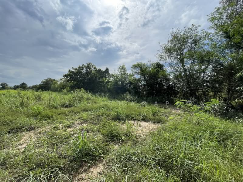 ที่ดินเกษตรกรรม อ.เพ็ญ อุดรธานี : Agricultural Land, Ban That, Phen, Udon Thani, Ideal for Farmstay, Udon Thani, บ้านธาตุ, Ban That, Phen, Udon Thani, , 8,288 sqm, Land For Sale, by Kulaya Thanapura, 500479957 - DDproperty.com