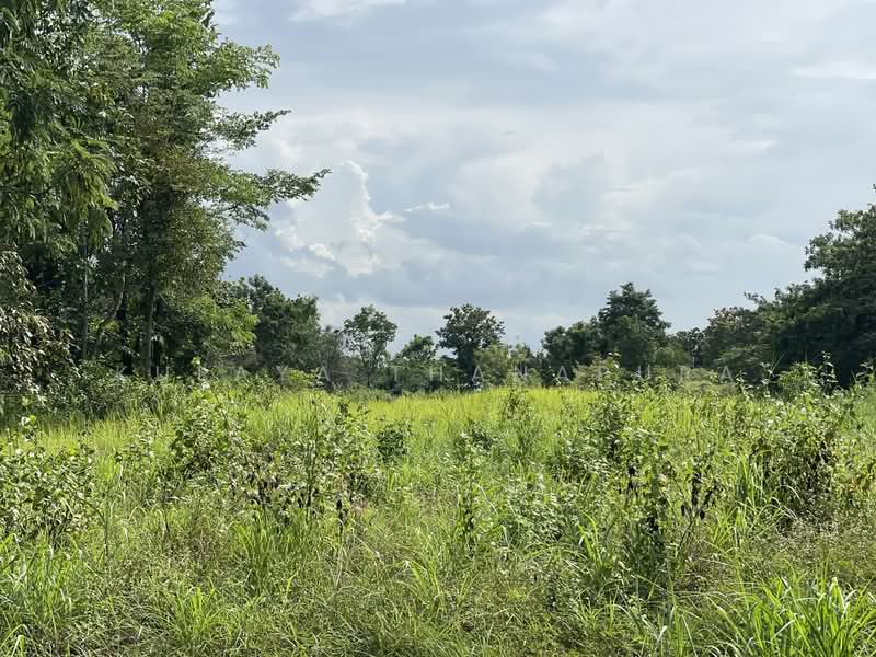 ที่ดินเกษตรกรรม อ.เพ็ญ อุดรธานี : Agricultural Land, Ban That, Phen, Udon Thani, Ideal for Farmstay, Udon Thani, บ้านธาตุ, Ban That, Phen, Udon Thani, , 8,288 sqm, Land For Sale, by Kulaya Thanapura, 500479957 - DDproperty.com