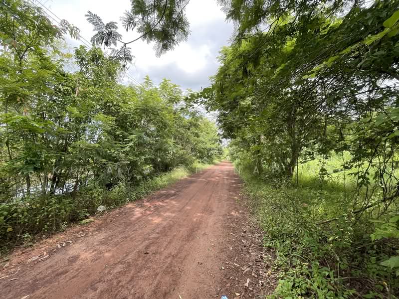 ที่ดินเกษตรกรรม อ.เพ็ญ อุดรธานี : Agricultural Land, Ban That, Phen, Udon Thani, Ideal for Farmstay, Udon Thani, บ้านธาตุ, Ban That, Phen, Udon Thani, , 8,288 sqm, Land For Sale, by Kulaya Thanapura, 500479957 - DDproperty.com