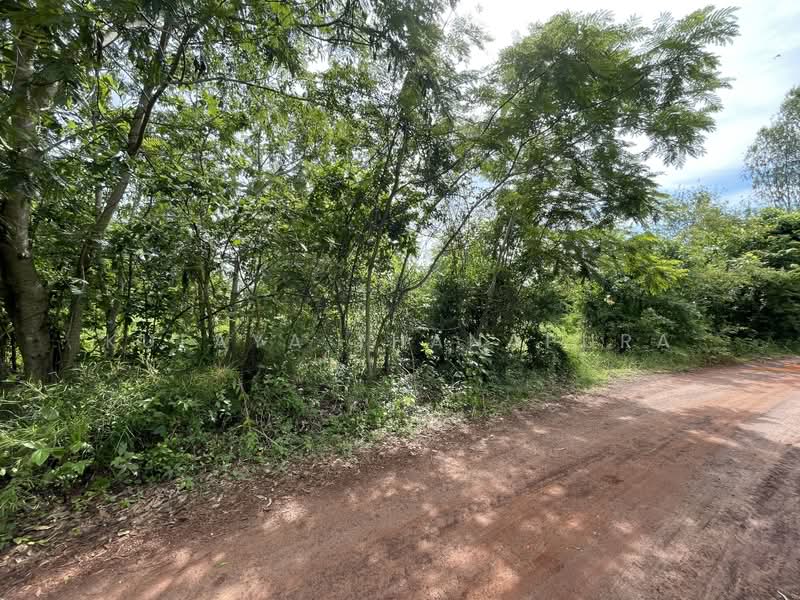 ที่ดินเกษตรกรรม อ.เพ็ญ อุดรธานี : Agricultural Land, Ban That, Phen, Udon Thani, Ideal for Farmstay, Udon Thani, บ้านธาตุ, Ban That, Phen, Udon Thani, , 8,288 sqm, Land For Sale, by Kulaya Thanapura, 500479957 - DDproperty.com