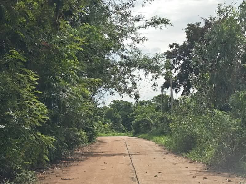 ที่ดินเกษตรกรรม อ.เพ็ญ อุดรธานี : Agricultural Land, Ban That, Phen, Udon Thani, Ideal for Farmstay, Udon Thani, บ้านธาตุ, Ban That, Phen, Udon Thani, , 8,288 sqm, Land For Sale, by Kulaya Thanapura, 500479957 - DDproperty.com