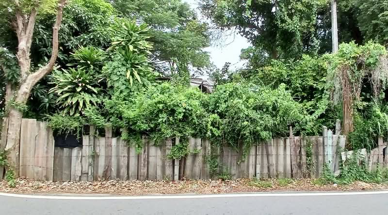 ที่ดินท่าประดู่ ระยอง, ระยอง, ท่าประดู่, เมืองระยอง, ระยอง, 4,114 ตร.ม., ที่ดิน ขาย, โดย The Best Property บอส, 500479958 - DDproperty.com