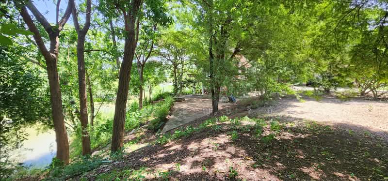 House with land bordering the Mae Klong River, Tha Maka District, Kanchanaburi Province, Kanchanaburi, Wai Nieo, Tha Maka, Kanchanaburi, 3 Bedrooms, 178 sqm, Single Detached House For Sale, by ภูสยาม ธัญปริภัทร์, 500479975 - DDproperty.com
