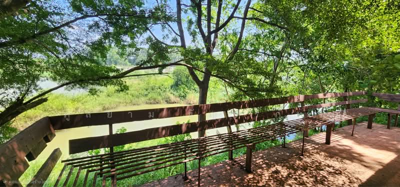 House with land bordering the Mae Klong River, Tha Maka District, Kanchanaburi Province, Kanchanaburi, Wai Nieo, Tha Maka, Kanchanaburi, 3 Bedrooms, 178 sqm, Single Detached House For Sale, by ภูสยาม ธัญปริภัทร์, 500479975 - DDproperty.com