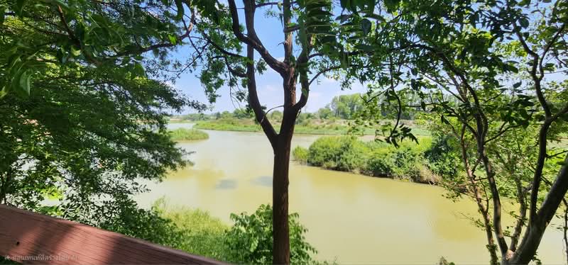 House with land bordering the Mae Klong River, Tha Maka District, Kanchanaburi Province, Kanchanaburi, Wai Nieo, Tha Maka, Kanchanaburi, 3 Bedrooms, 178 sqm, Single Detached House For Sale, by ภูสยาม ธัญปริภัทร์, 500479975 - DDproperty.com