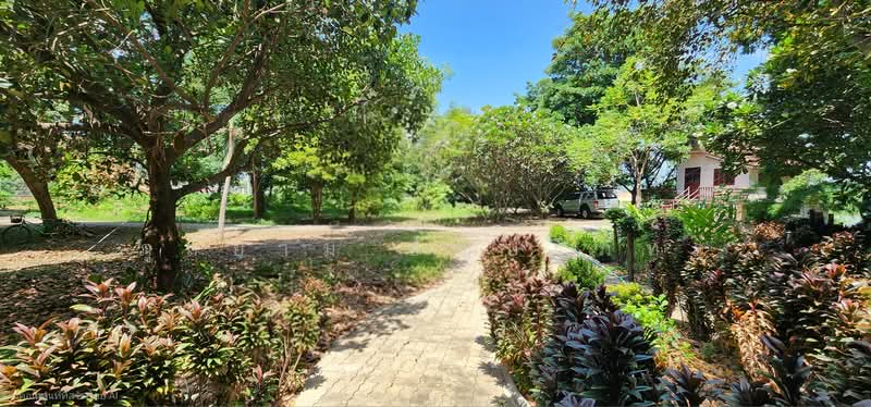 House with land bordering the Mae Klong River, Tha Maka District, Kanchanaburi Province, Kanchanaburi, Wai Nieo, Tha Maka, Kanchanaburi, 3 Bedrooms, 178 sqm, Single Detached House For Sale, by ภูสยาม ธัญปริภัทร์, 500479975 - DDproperty.com