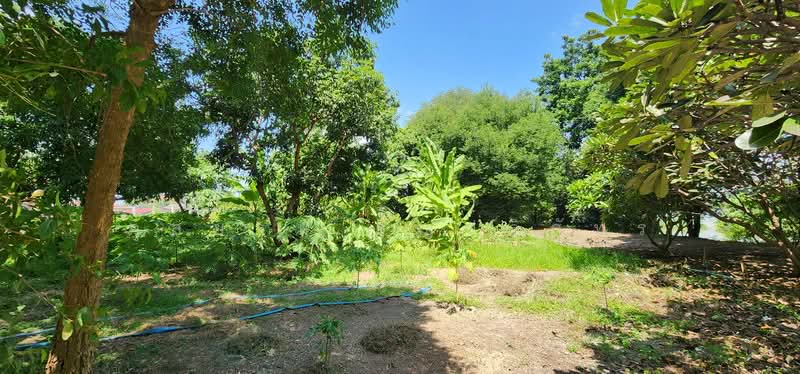 House with land bordering the Mae Klong River, Tha Maka District, Kanchanaburi Province, Kanchanaburi, Wai Nieo, Tha Maka, Kanchanaburi, 3 Bedrooms, 178 sqm, Single Detached House For Sale, by ภูสยาม ธัญปริภัทร์, 500479975 - DDproperty.com