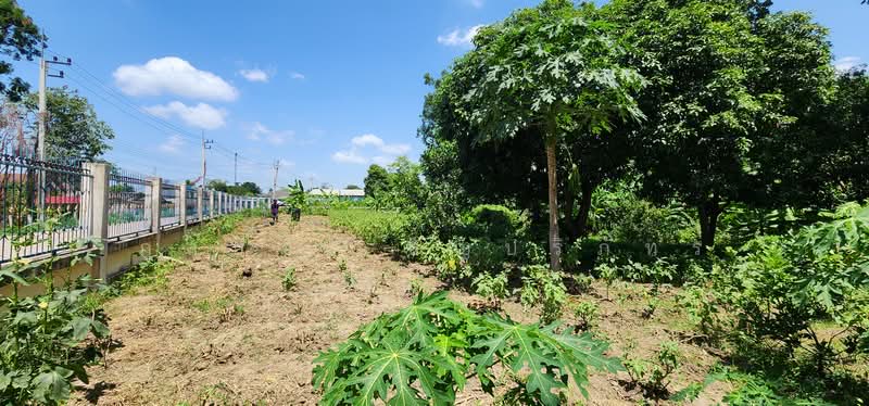 House with land bordering the Mae Klong River, Tha Maka District, Kanchanaburi Province, Kanchanaburi, Wai Nieo, Tha Maka, Kanchanaburi, 3 Bedrooms, 178 sqm, Single Detached House For Sale, by ภูสยาม ธัญปริภัทร์, 500479975 - DDproperty.com
