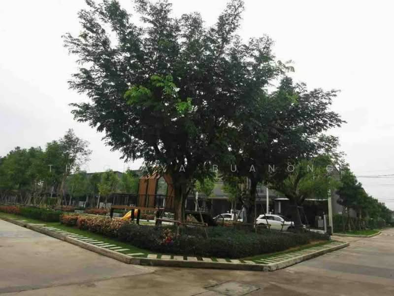 Verve Rama 9, Bangkok, Kanchanaphisek Road, Saphan Sung, Bangkok, 3 Bedrooms, 143 sqm, Townhouse For Rent, by Thachaya Buanong, 500479996 - DDproperty.com