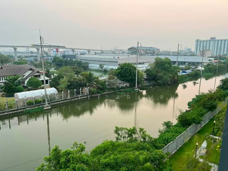 Sena Kith Srinakarin-Sridan, Samut Prakan, Sukhumvit Road 113, Samrong Nua, Muang Samut Prakarn, Samut Prakan, 2 Bedrooms, 45 sqm, Condo For Rent, by Wiratee Aramrun, 500480025 - DDproperty.com