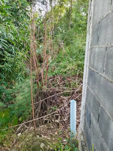 ที่ดินบางแก้ว ฉะเชิงเทรา, Chachoengsao, Bang Kaeo, Muang Chachoengsao, Chachoengsao, , 600 sqm, Land For Sale, by The Best Property โบ, 500480114 - DDproperty.com