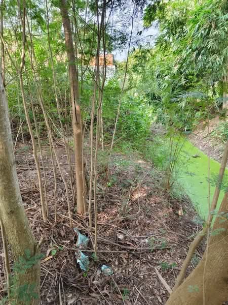 ที่ดินบางแก้ว ฉะเชิงเทรา, Chachoengsao, Bang Kaeo, Muang Chachoengsao, Chachoengsao, , 600 sqm, Land For Sale, by The Best Property โบ, 500480114 - DDproperty.com