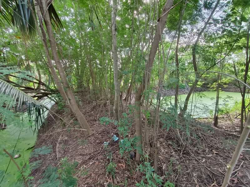 ที่ดินบางแก้ว ฉะเชิงเทรา, Chachoengsao, Bang Kaeo, Muang Chachoengsao, Chachoengsao, , 600 sqm, Land For Sale, by The Best Property โบ, 500480114 - DDproperty.com