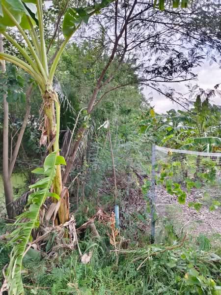 ที่ดินบางแก้ว ฉะเชิงเทรา, Chachoengsao, Bang Kaeo, Muang Chachoengsao, Chachoengsao, , 600 sqm, Land For Sale, by The Best Property โบ, 500480114 - DDproperty.com