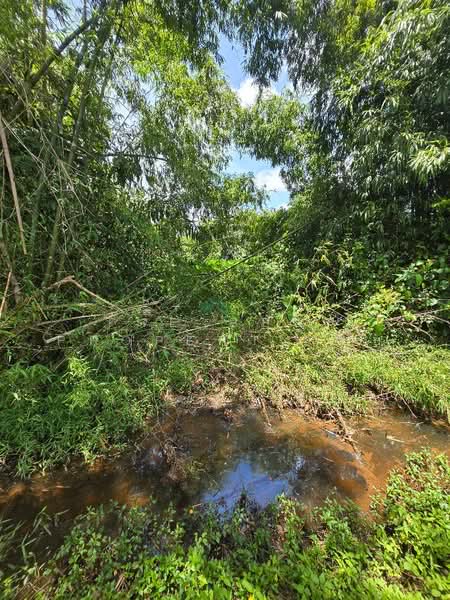ที่ดินท่าช้าง จันทบุรี, จันทบุรี, ท่าช้าง, เมืองจันทบุรี, จันทบุรี, 1,600 ตร.ม., ที่ดิน ขาย, โดย The Best Property ยุ้ย, 500480119 - DDproperty.com
