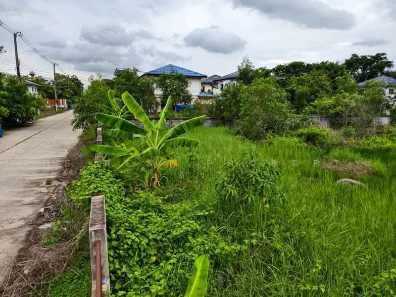 ที่ดินหนองเสือ ปทุมธานี, Pathum Thani, Bung Ba, Nong Sua, Pathum Thani, , 1,008 sqm, Land For Sale, by The Best Property ดิว, 500480121 - DDproperty.com