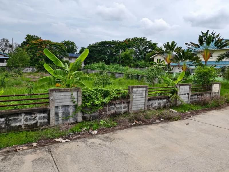 ที่ดินหนองเสือ ปทุมธานี, Pathum Thani, Bung Ba, Nong Sua, Pathum Thani, , 1,008 sqm, Land For Sale, by The Best Property ดิว, 500480121 - DDproperty.com