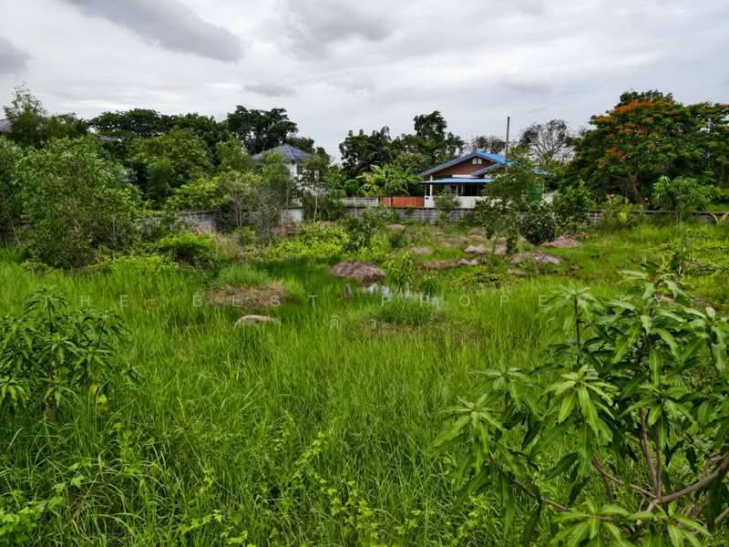 ที่ดินหนองเสือ ปทุมธานี, Pathum Thani, Bung Ba, Nong Sua, Pathum Thani, , 1,008 sqm, Land For Sale, by The Best Property ดิว, 500480121 - DDproperty.com