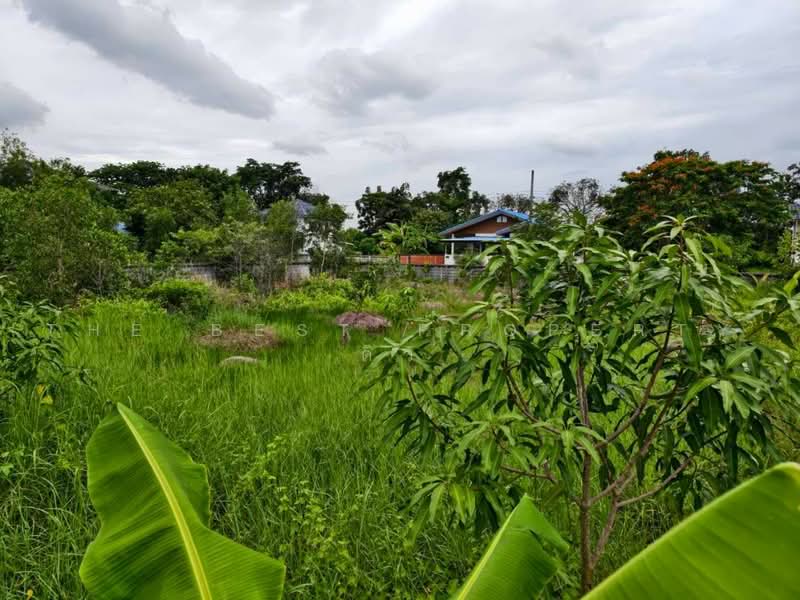 ที่ดินหนองเสือ ปทุมธานี, ปทุมธานี, บึงบา, หนองเสือ, ปทุมธานี, 1,008 ตร.ม., ที่ดิน ขาย, โดย The Best Property ดิว, 500480121 - DDproperty.com