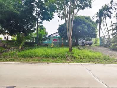 ขาย - ที่ดินบ้านค่าย ระยอง, ระยอง