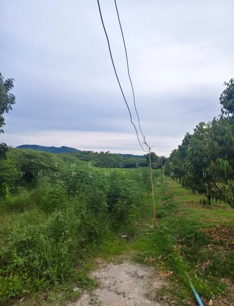 ที่ดินบ้านค่าย ระยอง, Rayong, Bang But, Ban Khai, Rayong, , 8,246 sqm, Land For Sale, by The Best Property ต่าย, 500480122 - DDproperty.com