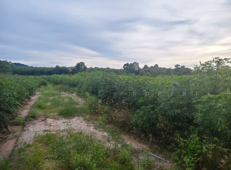 ที่ดินบ้านค่าย ระยอง, Rayong, Bang But, Ban Khai, Rayong, , 8,246 sqm, Land For Sale, by The Best Property ต่าย, 500480122 - DDproperty.com