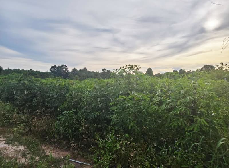 ที่ดินบ้านค่าย ระยอง, Rayong, Bang But, Ban Khai, Rayong, , 8,246 sqm, Land For Sale, by The Best Property ต่าย, 500480122 - DDproperty.com