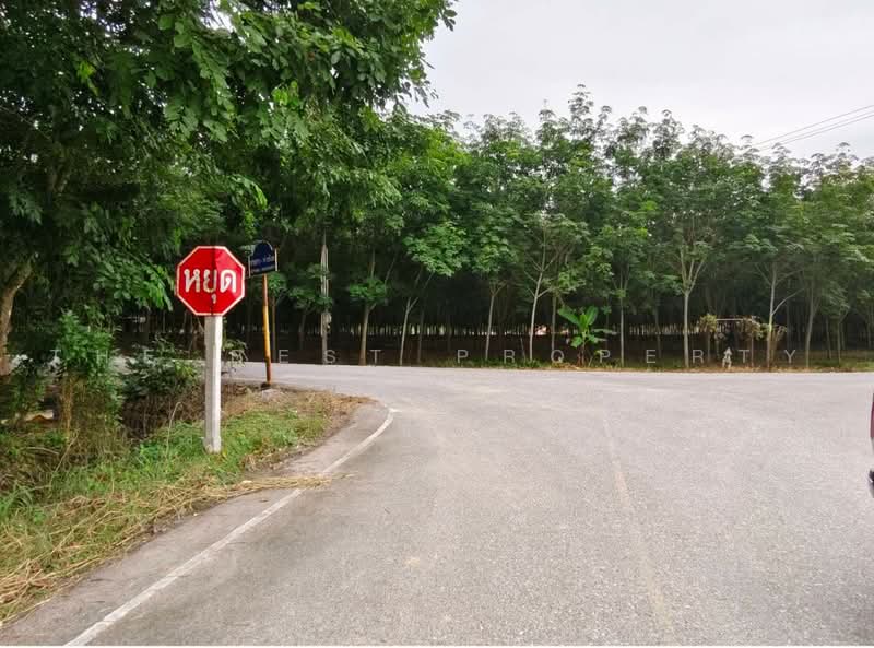 ที่ดินบ้านค่าย ระยอง, Rayong, Bang But, Ban Khai, Rayong, , 8,246 sqm, Land For Sale, by The Best Property ต่าย, 500480122 - DDproperty.com