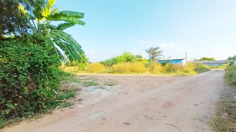 ที่ดินดอนตะโก ราชบุรี, Ratchaburi, Don Tako, Muang Ratchaburi, Ratchaburi, , 474 sqm, Land For Sale, by The Best Property อิ๋ว, 500480124 - DDproperty.com