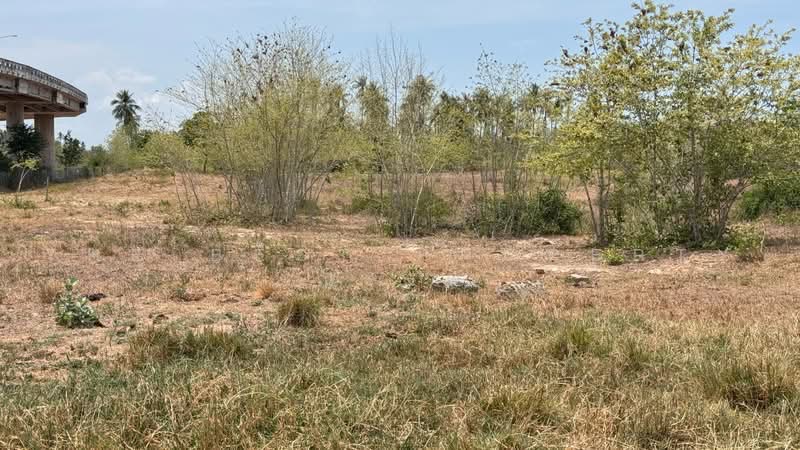 ที่ดินทับสะแก ประจวบคีรีขันธ์, Prachuap Khiri Khan, Thap Sakae, Thap Sakae, Prachuap Khiri Khan, , 8,000 sqm, Land For Sale, by The Best Property ณรงค์, 500480125 - DDproperty.com