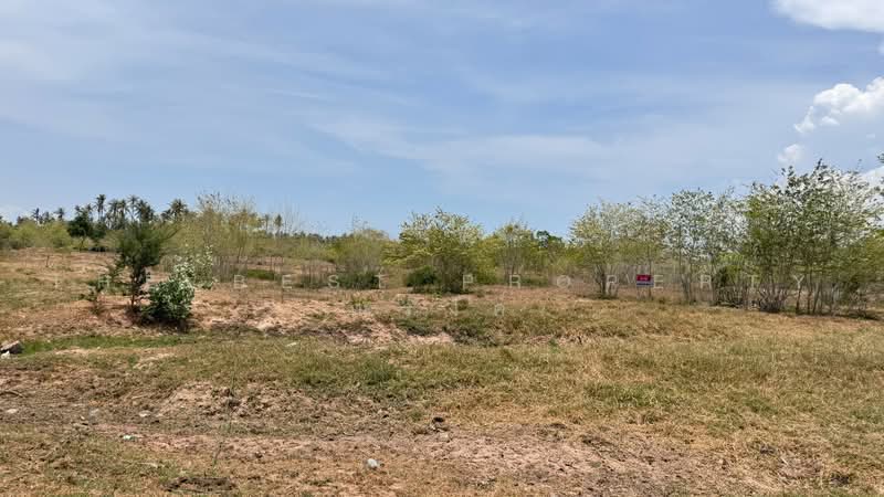 ที่ดินทับสะแก ประจวบคีรีขันธ์, Prachuap Khiri Khan, Thap Sakae, Thap Sakae, Prachuap Khiri Khan, , 8,000 sqm, Land For Sale, by The Best Property ณรงค์, 500480125 - DDproperty.com