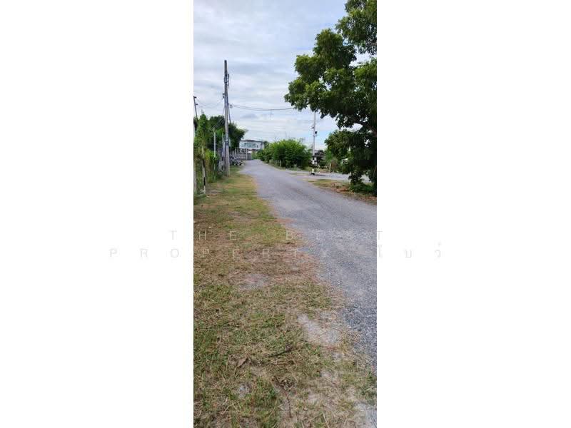 ที่ดินภาษีเจริญ กรุงเทพมหานคร, กรุงเทพ, บางจาก, ภาษีเจริญ, กรุงเทพ, 1,454 ตร.ม., ที่ดิน ขาย, โดย The Best Property โบว์, 500480126 - DDproperty.com