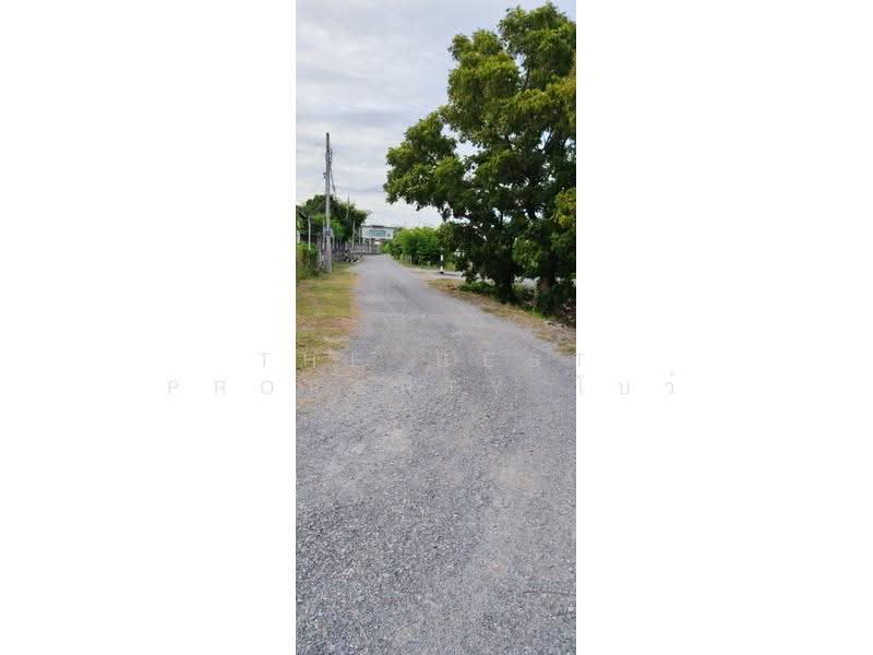 ที่ดินภาษีเจริญ กรุงเทพมหานคร, กรุงเทพ, บางจาก, ภาษีเจริญ, กรุงเทพ, 1,454 ตร.ม., ที่ดิน ขาย, โดย The Best Property โบว์, 500480126 - DDproperty.com