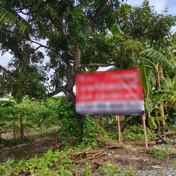 ที่ดินภาษีเจริญ กรุงเทพมหานคร, กรุงเทพ, บางจาก, ภาษีเจริญ, กรุงเทพ, 1,454 ตร.ม., ที่ดิน ขาย, โดย The Best Property โบว์, 500480126 - DDproperty.com
