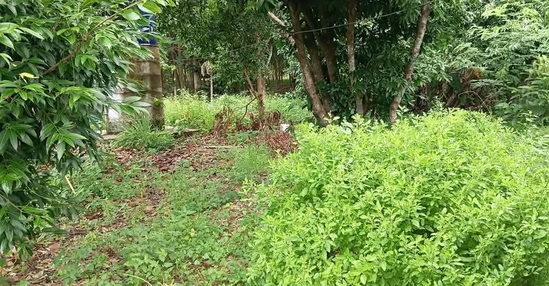 บ้านเดี่ยวแกลง ระยอง, Rayong, Klaeng, Muang Rayong, Rayong, 3 Bedrooms, 150 sqm, Single Detached House For Sale, by The Best Property โบว์, 500480128 - DDproperty.com