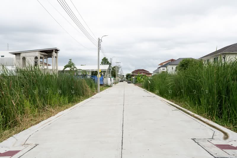 ขายที่ดินพุทธมณฑลสาย2 101 ตร.วา 21นาทีถึง รพ.ศิริราช, กรุงเทพ, ทวีวัฒนา-กาญจนาภิเษก, ทวีวัฒนา, กรุงเทพ, 804 ตร.ม., ที่ดิน ขาย, โดย รุ่งรัตน์ ไมตรีจิตถาวร, 500480130 - DDproperty.com