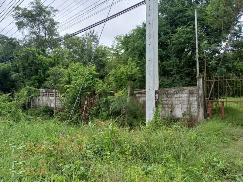 ที่ดินตะพานหิน พิจิตร, พิจิตร, หนองพยอม, ตะพานหิน, พิจิตร, 23,244 ตร.ม., ที่ดิน ขาย, โดย The Best Property อ้อ, 500480132 - DDproperty.com