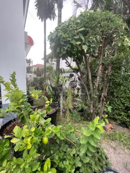 undefined, Bangkok, Bang Chun, Khlong Sam Wa, Bangkok, 3 Bedrooms, 204 sqm, Single Detached House For Sale, by Woraruethai Klumbun, 500480189 - DDproperty.com