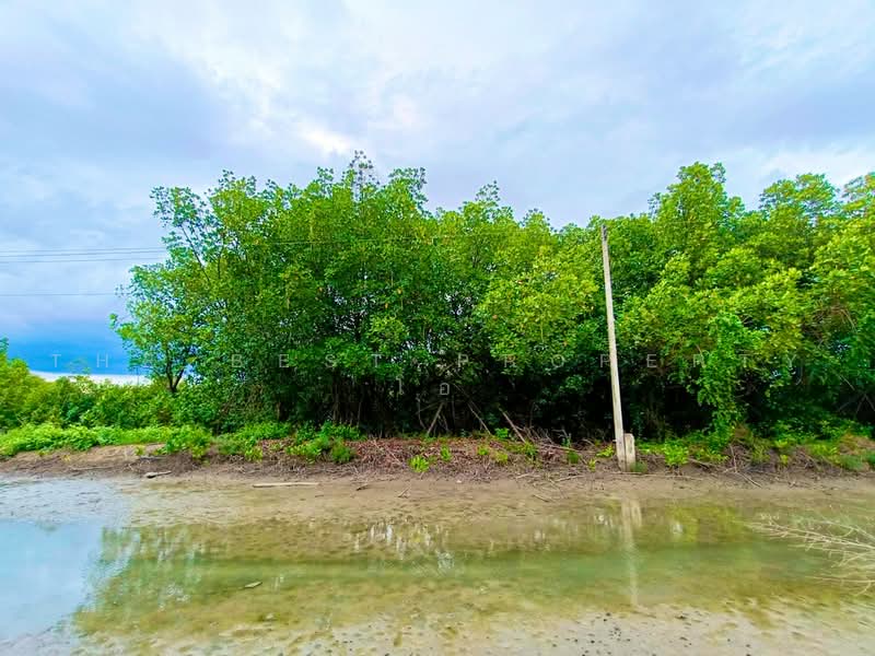 ที่ดินลาดใหญ่ สมุทรสงคราม, Samut Songkhram, Lat Yai, Muang Samut Songkhram, Samut Songkhram, , 1,600 sqm, Land For Sale, by The Best Property โอ๋, 500480233 - DDproperty.com