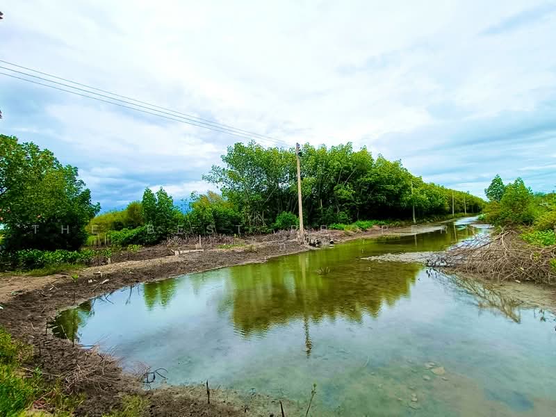 ที่ดินลาดใหญ่ สมุทรสงคราม, Samut Songkhram, Lat Yai, Muang Samut Songkhram, Samut Songkhram, , 1,600 sqm, Land For Sale, by The Best Property โอ๋, 500480233 - DDproperty.com
