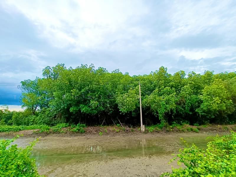 ที่ดินลาดใหญ่ สมุทรสงคราม, Samut Songkhram, Lat Yai, Muang Samut Songkhram, Samut Songkhram, , 1,600 sqm, Land For Sale, by The Best Property โอ๋, 500480233 - DDproperty.com