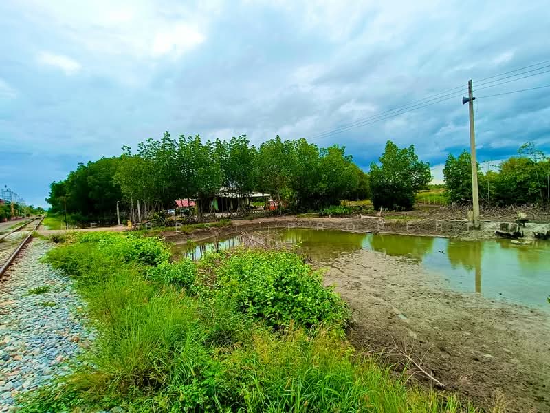 ที่ดินลาดใหญ่ สมุทรสงคราม, Samut Songkhram, Lat Yai, Muang Samut Songkhram, Samut Songkhram, , 1,600 sqm, Land For Sale, by The Best Property โอ๋, 500480233 - DDproperty.com