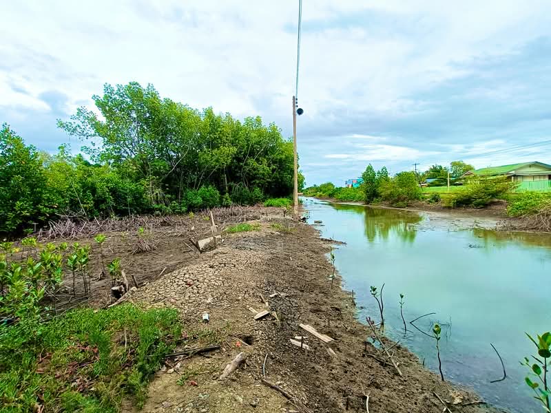 ที่ดินลาดใหญ่ สมุทรสงคราม, Samut Songkhram, Lat Yai, Muang Samut Songkhram, Samut Songkhram, , 1,600 sqm, Land For Sale, by The Best Property โอ๋, 500480233 - DDproperty.com