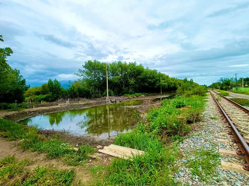 ที่ดินลาดใหญ่ สมุทรสงคราม, Samut Songkhram, Lat Yai, Muang Samut Songkhram, Samut Songkhram, , 1,600 sqm, Land For Sale, by The Best Property โอ๋, 500480233 - DDproperty.com