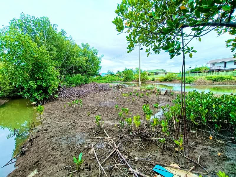 ที่ดินลาดใหญ่ สมุทรสงคราม, Samut Songkhram, Lat Yai, Muang Samut Songkhram, Samut Songkhram, , 1,600 sqm, Land For Sale, by The Best Property โอ๋, 500480233 - DDproperty.com