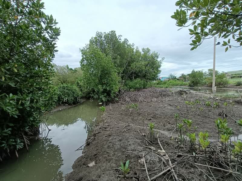 ที่ดินลาดใหญ่ สมุทรสงคราม, Samut Songkhram, Lat Yai, Muang Samut Songkhram, Samut Songkhram, , 1,600 sqm, Land For Sale, by The Best Property โอ๋, 500480233 - DDproperty.com