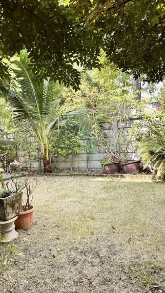 Iris Park Chaiyapruk - Wongwaen : ไอริส พาร์ค ชัยพฤกษ์ - วงแหวน, นนทบุรี, ถนนทางหลวงชนบท นนทบุรี 3088, บางบัวทอง, นนทบุรี, 150 ตร.ม., บ้านเดี่ยว ขาย, โดย NR AGENT, 500480348 - DDproperty.com