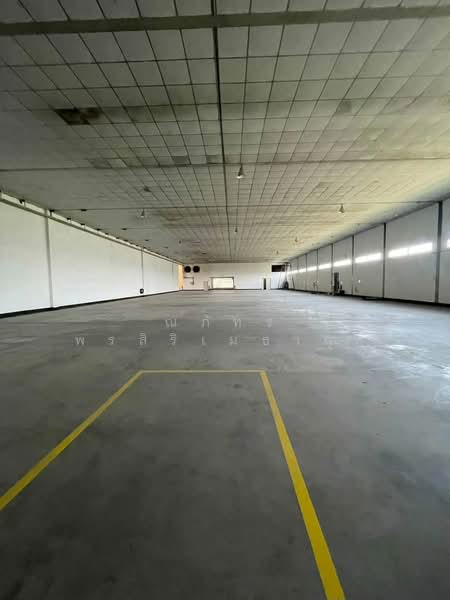ขาย/ให้เช่า โกดัง/โรงงาน พร้อมออฟฟิศ ที่พัก พื้นที่สีเหลือง 33,600ตรม บ้านบึง ชลบุรี (TW8-26026), Chon Buri (Pattaya), Nong Samsak, Ban Bung, Chon Buri (Pattaya), , 33,600 sqm, Warehouse/Factory For Rent, by ณภัทร พรสิริเมธากุล, 500480588 - DDproperty.com