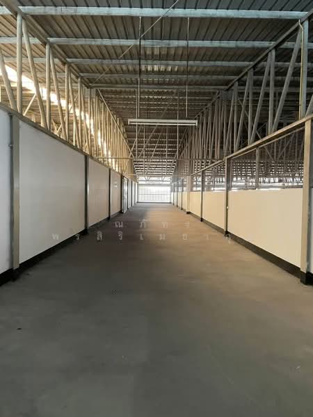 ขาย/ให้เช่า โกดัง/โรงงาน พร้อมออฟฟิศ ที่พัก พื้นที่สีเหลือง 33,600ตรม บ้านบึง ชลบุรี (TW8-26026), Chon Buri (Pattaya), Nong Samsak, Ban Bung, Chon Buri (Pattaya), , 33,600 sqm, Warehouse/Factory For Rent, by ณภัทร พรสิริเมธากุล, 500480588 - DDproperty.com